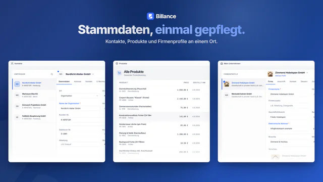 Screenshot von Billance für Windows: Stammdaten, einmal gepflegt